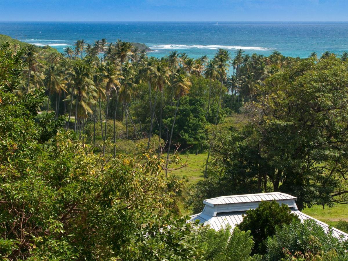 Firefly Estate Bequia Hotel Crescent Beach Eksteriør billede