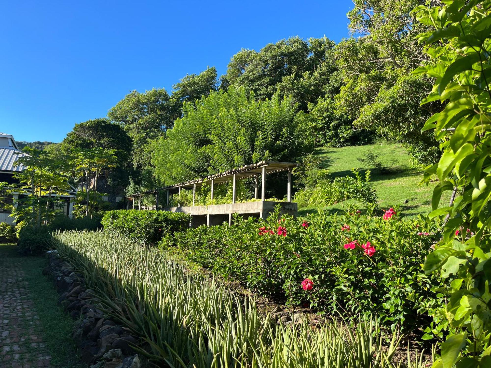 Firefly Estate Bequia Hotel Crescent Beach Eksteriør billede