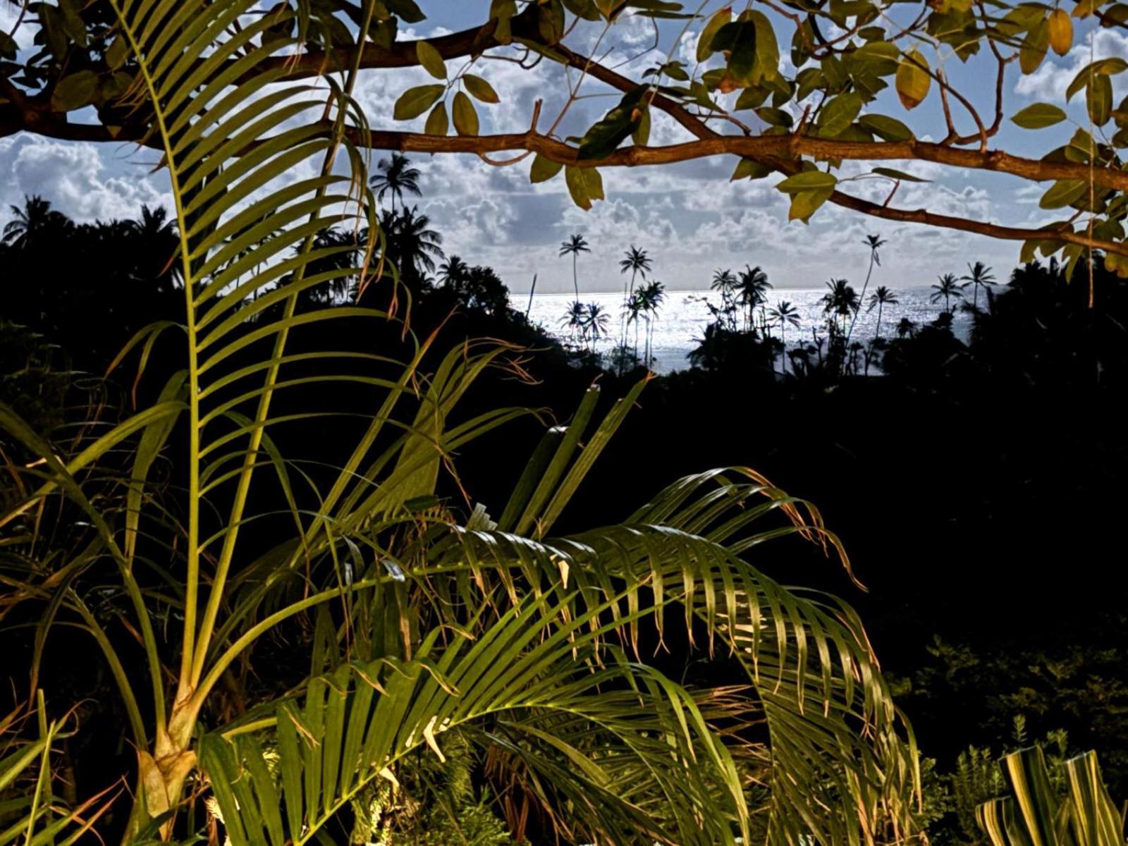 Firefly Estate Bequia Hotel Crescent Beach Eksteriør billede