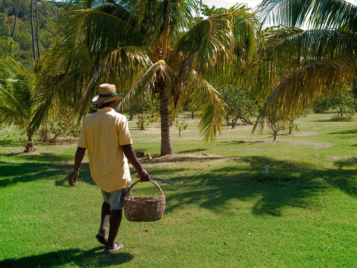 Firefly Estate Bequia Hotel Crescent Beach Eksteriør billede