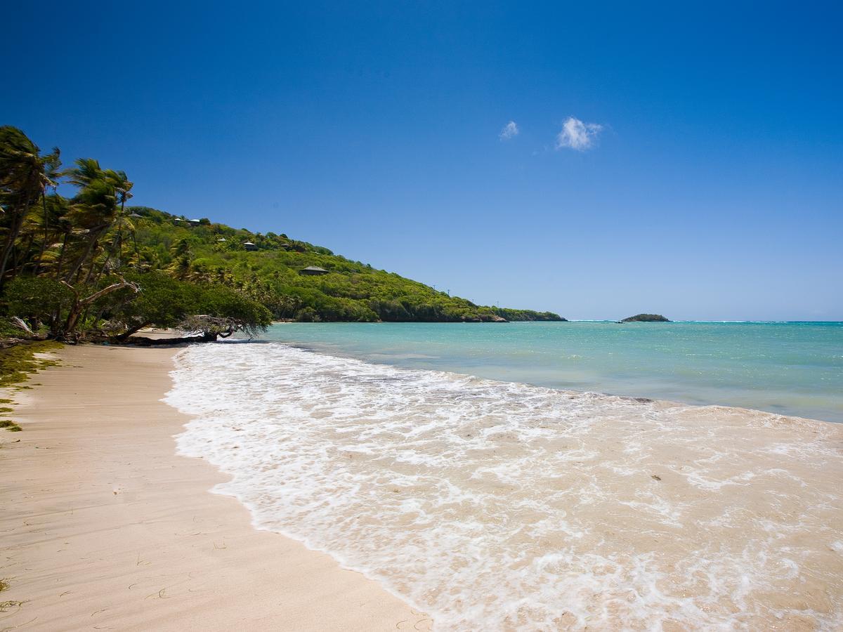 Firefly Estate Bequia Hotel Crescent Beach Eksteriør billede