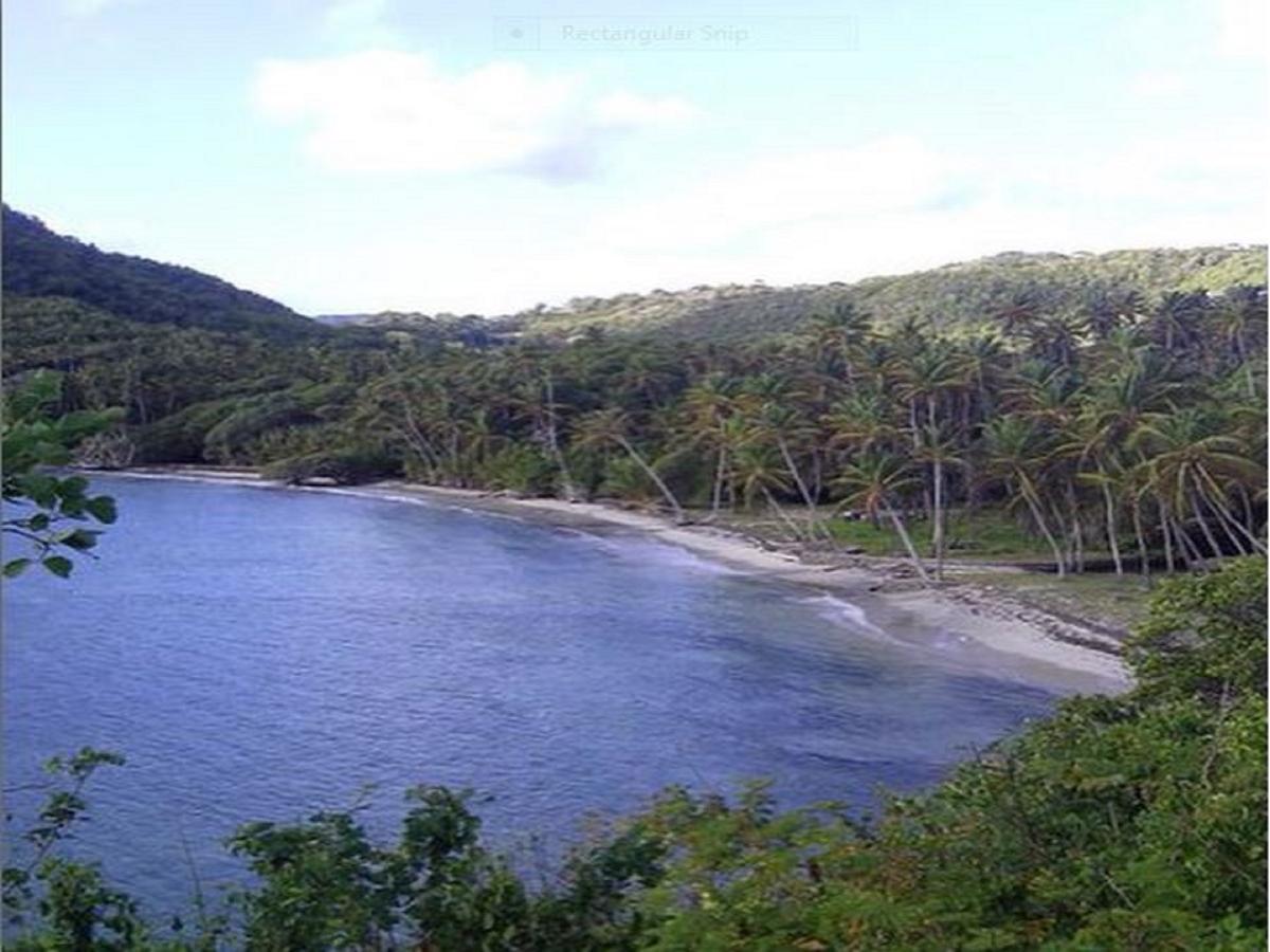 Firefly Estate Bequia Hotel Crescent Beach Eksteriør billede