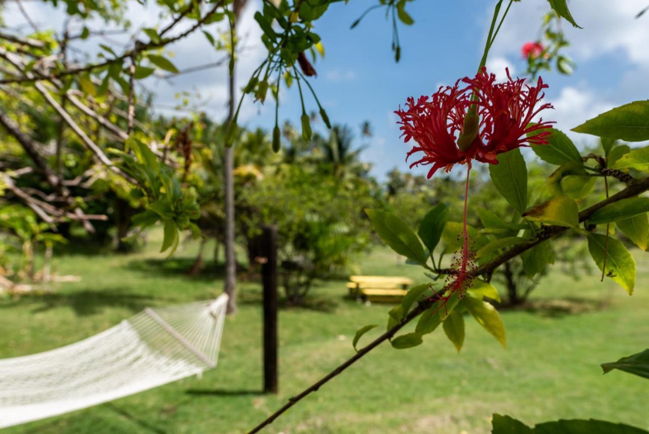 Firefly Estate Bequia Hotel Crescent Beach Eksteriør billede