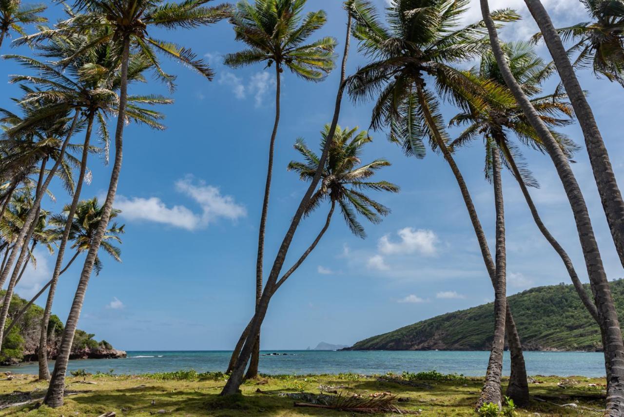 Firefly Estate Bequia Hotel Crescent Beach Eksteriør billede